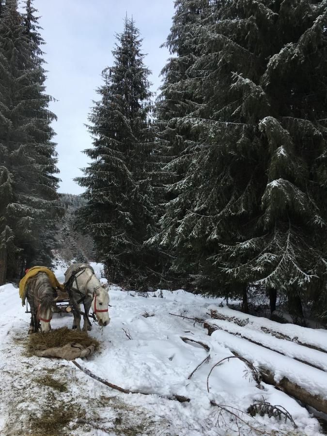 Дома для отпуска Riverside Woodhouses Прайд-21